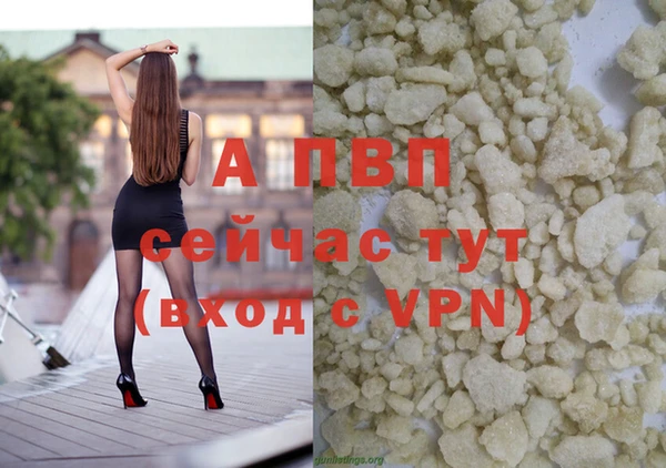 ECSTASY Осинники