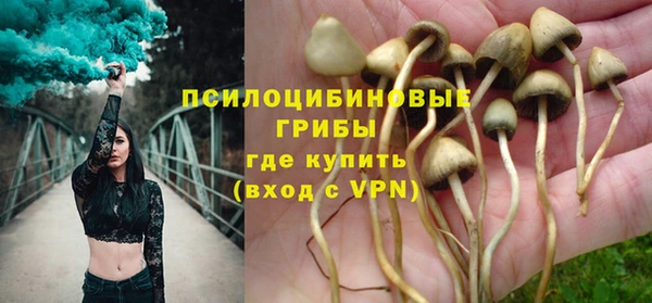 ECSTASY Осинники